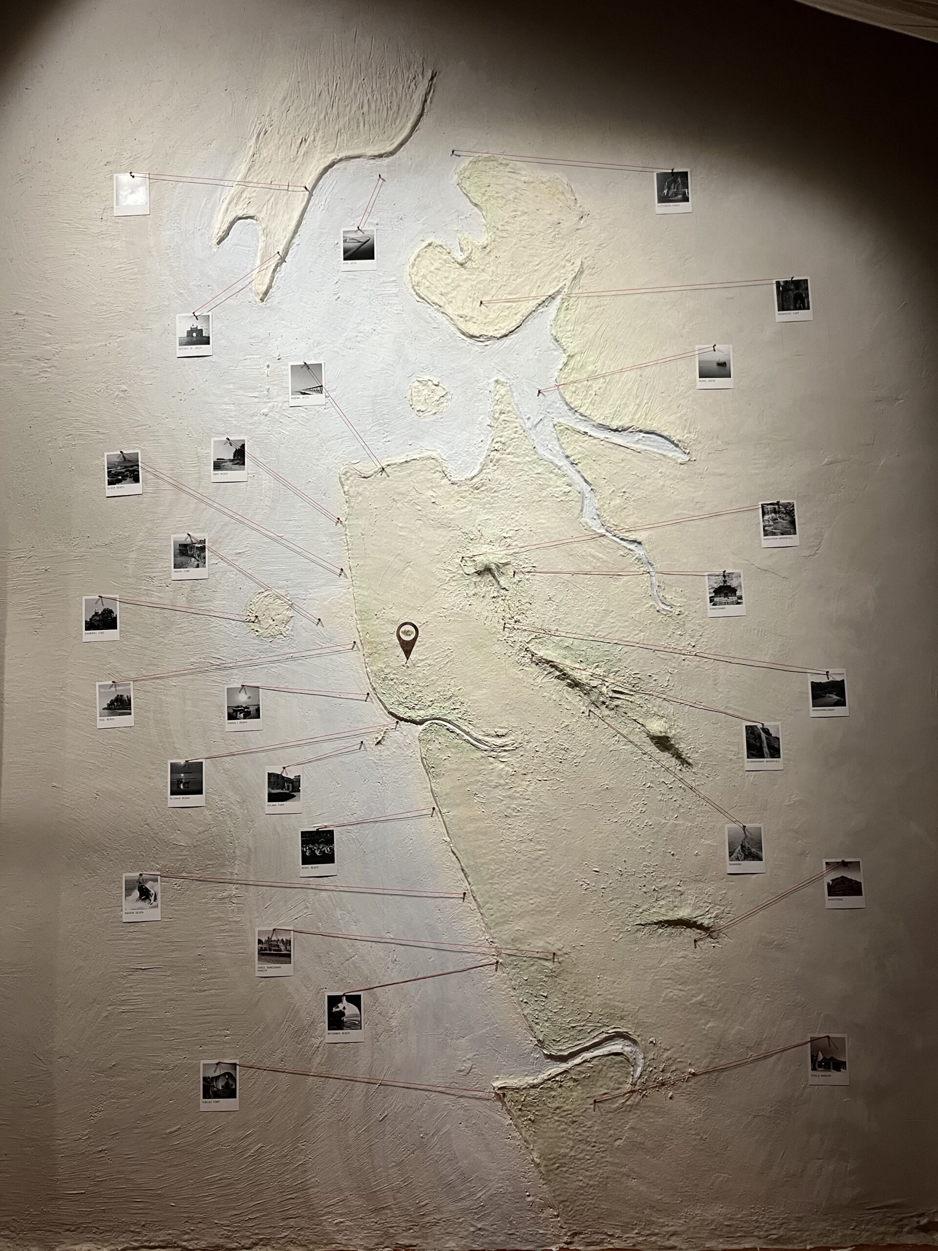 Rustic palms gallery