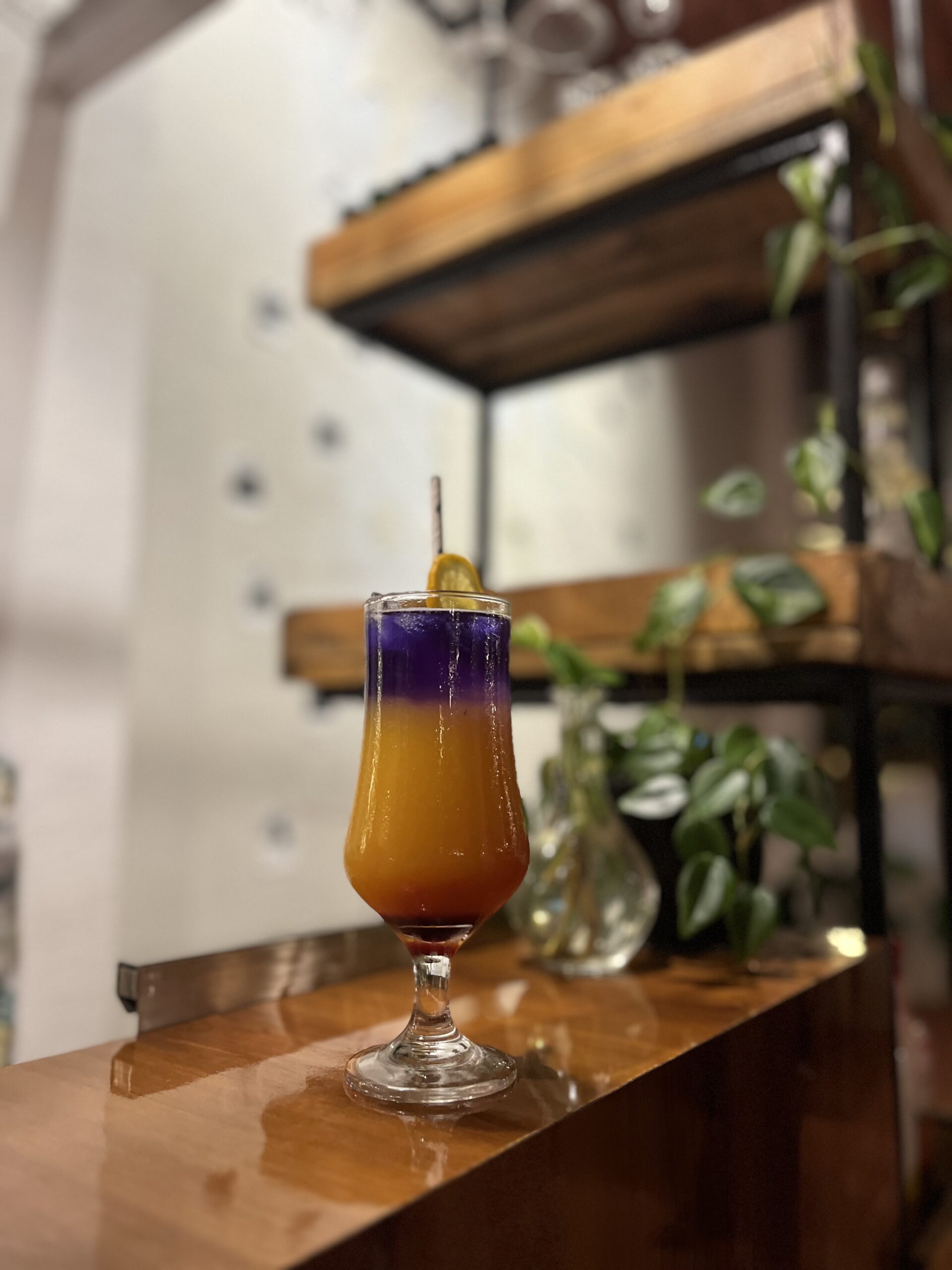 Rustic palms gallery