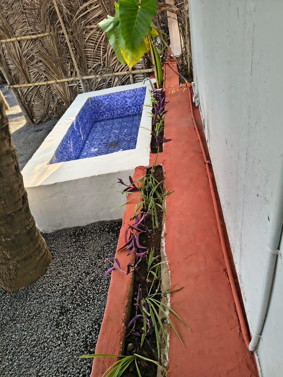 Rustic palms gallery